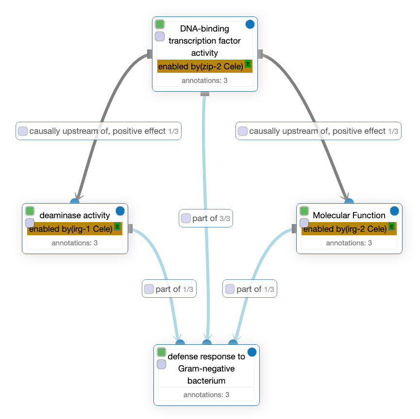 Example of use of the Relation Ontology in GO-CAMs